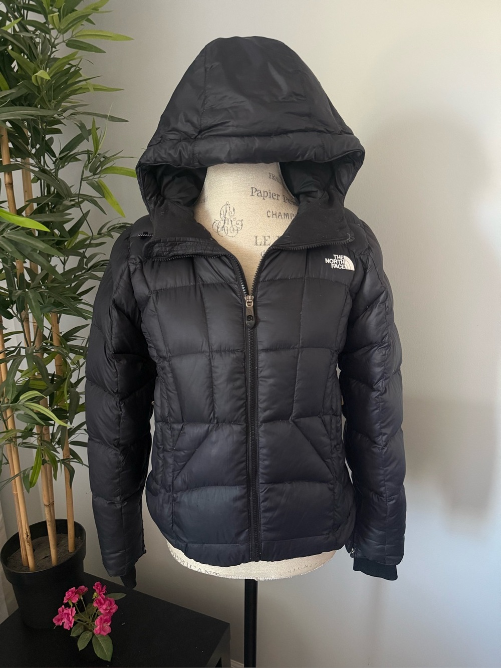 The Northface Coat Size Small Women Black Puffer Goose Down 600 Hooded